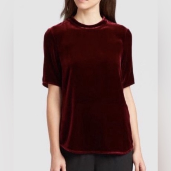 Eileen Fisher Tops - Eileen Fisher L Burgundy Velvet Blouse Holiday Fall Winter High Neck Classy
